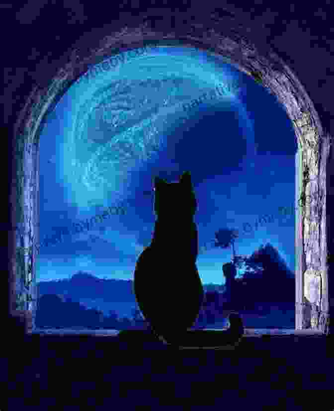 A Beautiful Illustration Of A Cat Sitting On A Windowsill, Looking Out Into The Night Sky. Tales Of Junah Cat: Secret Of The Garden: Fables For A Healthy Happy Life (Junah Tales 1)