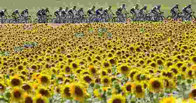 A Cyclist Riding Through A Field Of Sunflowers In The Netherlands The Slow Road To Tehran: A Revelatory Bike Ride Through Europe And The Middle East