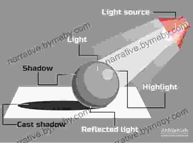 A Diagram Illustrating The Principles Of Light And Shadow On A Still Life Object A Full Sequence Of Still Life Drawing