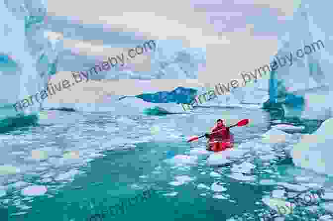 A Group Of Tourists Kayaking In The Antarctic Waters, Surrounded By Icebergs Adventures In Antarctica Ashley Antoinette