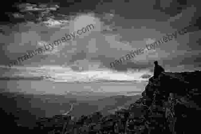 A Lone Person Sitting On A Rock, Overlooking The Vastness Of The Inside Passage, Experiencing A Moment Of Tranquility. Paddling North: A Solo Adventure Along The Inside Passage