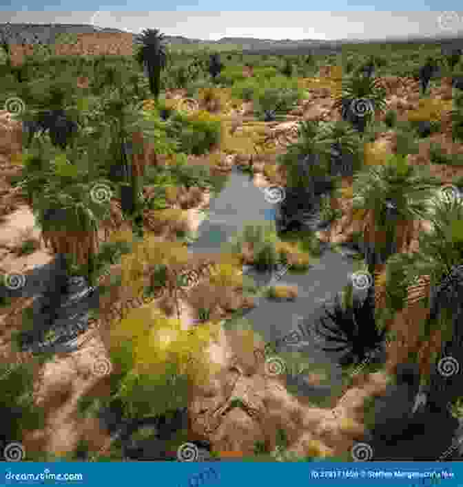 A Lush Oasis Amidst The Barren Desert Of Saudi Arabia All The Sand In The Desert Can T Cover Up The Beauty Of Saudi Arabia Geography Grade 3 Children S Geography