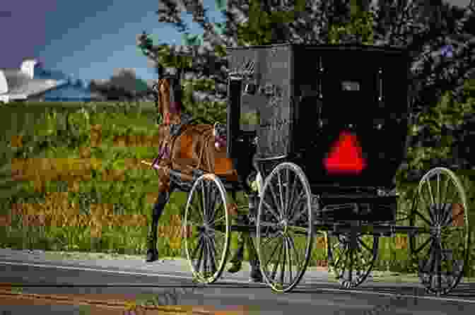 A Tranquil View Of An Amish Buggy Passing Through A Meadow In Lancaster County, Pennsylvania 60 Hikes Within 60 Miles: Harrisburg: Including Cumberland Dauphin Lancaster Lebanon Perry And York Counties In Central Pennsylvania