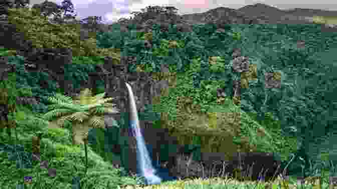 A Vibrant Image Of Costa Rican Rainforest With Lush Vegetation And A Vibrant Sunset Costa Rica For REALists Bandana Ojha