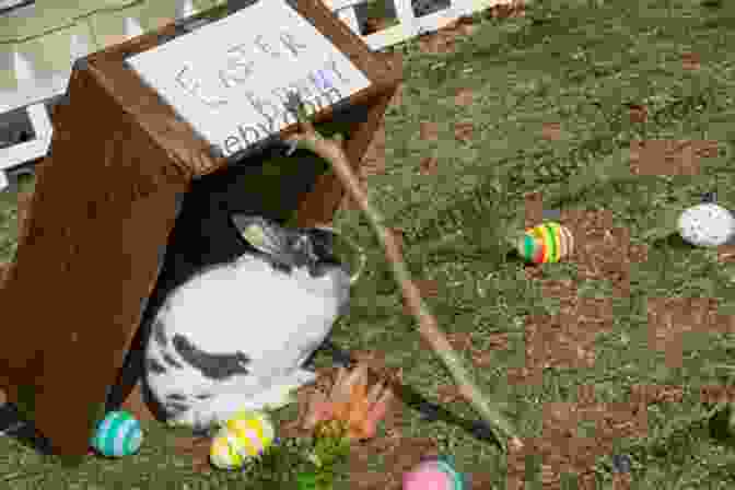 A Young Girl Setting A Trap For The Easter Bunny Trapping The Easter Bunny Becky Stearns