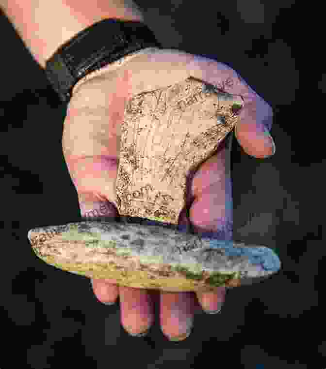 Artifacts Uncovered From The Gault Site Clovis Lithic Technology: Investigation Of A Stratified Workshop At The Gault Site Texas (Peopling Of The Americas Publications)