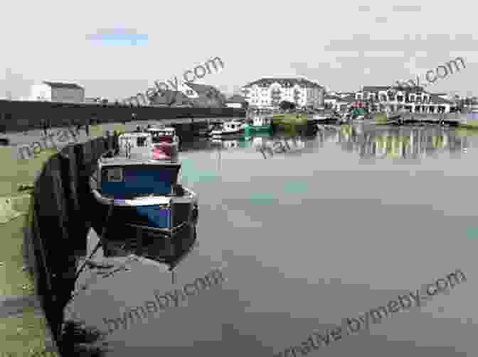 Carrickfergus Harbour, A Bustling Haven For Boats And Yachts I Am Carrickfergus Baby Professor