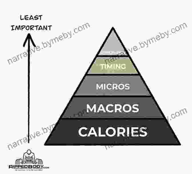 Chart Illustrating Nutrient Timing Strategies Garfield: Survival Of The Fattest: His 40th (Garfield Series)