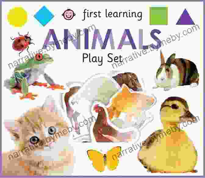 Child Using A Picture Book To Learn About Animals Children S Picture Book: THE PRINCESS AND THE PEARL (Bedtime Story)Book For Kids(Beginner Reader)Early Learning(first Grade)Princess Fairy Tale(Explore Kids Collection)Preschool Level 1