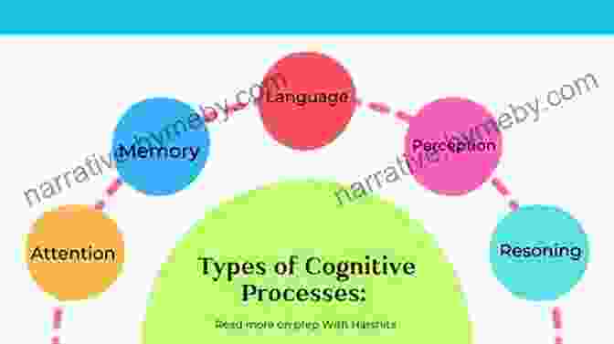 Diagram Of Cognitive Processes In Language Learning How Languages Are Learned 4th Edition Oxford Handbooks For Language Teachers