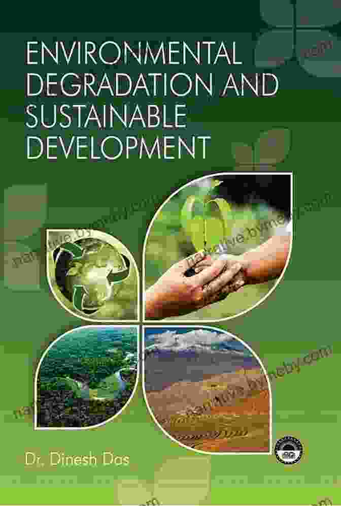 Environmental Degradation And Sustainability The Poverty Of Affluence: A Psychological Portrait Of The American Way Of Life (Rebel Reads)