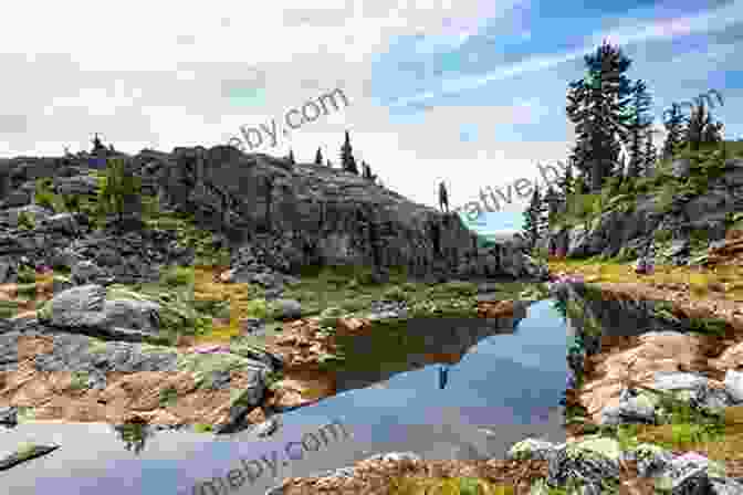 Hikers Traversing A Winding Trail Amidst The Verdant Slopes Of Mount Seymour, Vancouver North Shore The Glorious Mountains Of Vancouver S North Shore: A Peakbagger S Guide