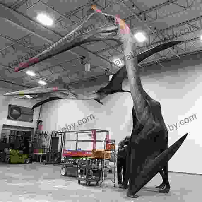 Life Size Replica Of The Colossal Quetzalcoatlus, A Prehistoric Flying Reptile In Search Of Lost Dragons