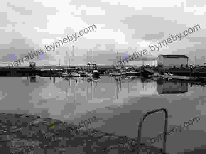 Marina In Carrickfergus Harbour, Offering A Picturesque Setting For Boaters I Am Carrickfergus Baby Professor