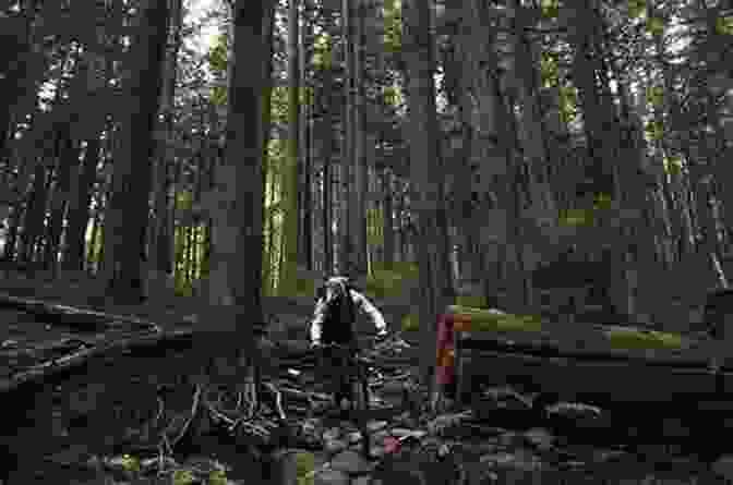 Mountain Bikers Navigating A Challenging Trail On The Slopes Of Mount Fromme, Vancouver North Shore The Glorious Mountains Of Vancouver S North Shore: A Peakbagger S Guide