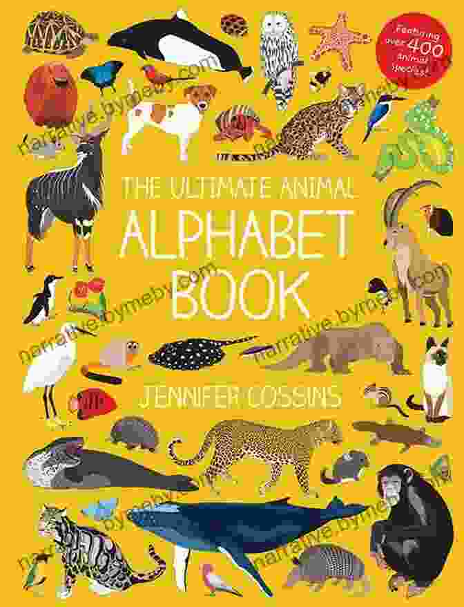 Sample Page From The Animals ABC Book Featuring The Letter A And An Alligator Animals ABC For Toddlers: Kids And Preschool An Animals ABC For Age 2 5 To Learn The English Animals Names From A To Z (Monkey Cover Design)