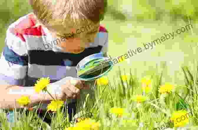 Sherman Exploring The Garden With A Magnifying Glass Sherman S Amazing Garden Kristen Ankiewicz