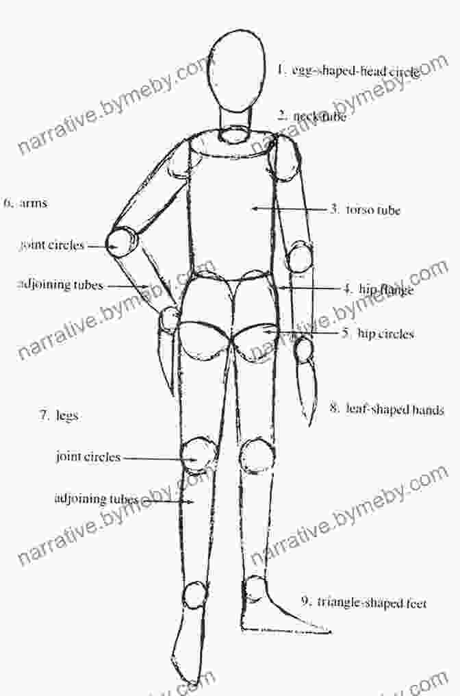 Step By Step Demonstration Of Drawing The Basic Forms Of The Body Anatomy For Artists: The Complete Guide To Drawing The Human Body