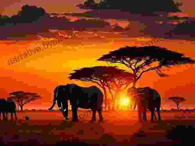 Stunning African Sunset Over A Vast Savanna AFRICAN ADVENTURE STORIES VOLUME TWO