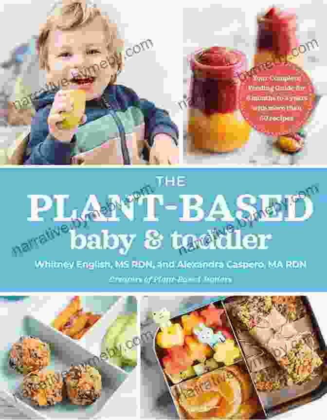 The Plant Based Baby And Toddler Book Cover The Plant Based Baby And Toddler: Your Complete Feeding Guide For The First 3 Years