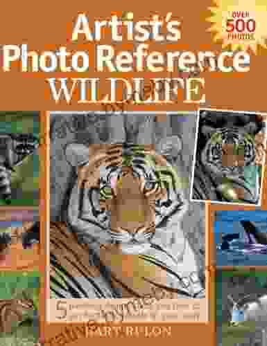 Artist S Photo Reference Wildlife