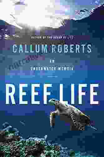 Reef Life: An Underwater Memoir