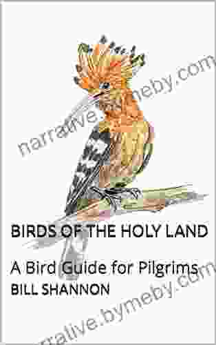 Birds Of The Holy Land: A Bird Guide For Pilgrims