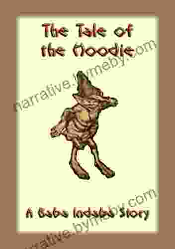 The Tale Of The Hoodie A Baba Indaba Story (The Baba Indaba 12)