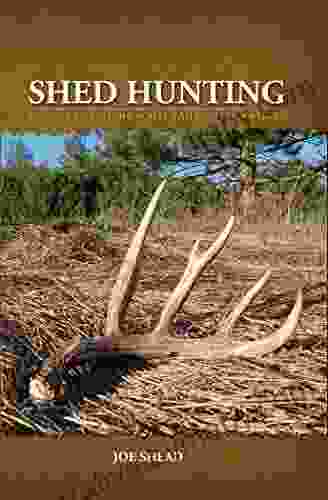 Shed Hunting: A Guide To Finding White Tailed Deer Antlers