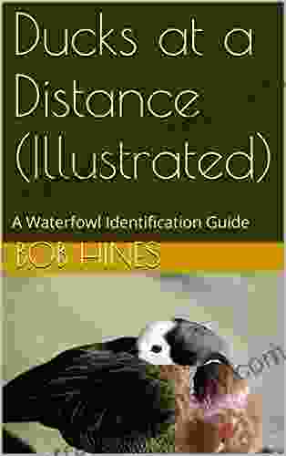 Ducks at a Distance (Illustrated): A Waterfowl Identification Guide