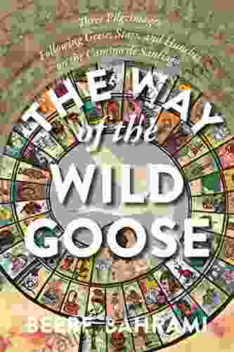 The Way Of The Wild Goose: Three Pilgrimages Following Geese Stars And Hunches On The Camino De Santiago In France And Spain