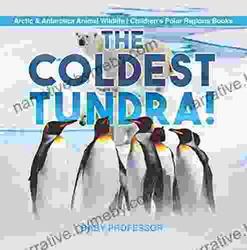 The Coldest Tundra Arctic Antarctica Animal Wildlife Children S Polar Regions